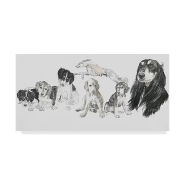 Barbara Keith 'Growing Up Saluki' Canvas Art, 12x24, Trademark Fine Art, Mfr#: ALI25100-C1224GG